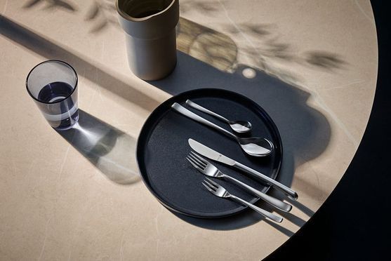Vision Fischbesteck-Set, 12-teilig, Cromargan protect®