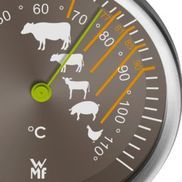 Fleischthermometer