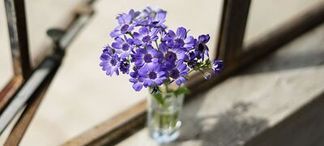 Festbrennweitenobjektiv mit großer Blende & Bokeh
