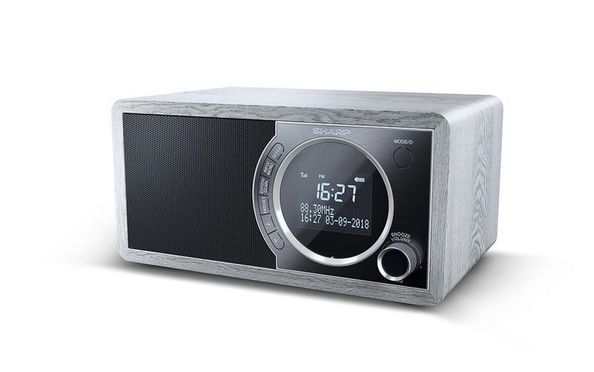 Digitales Radio