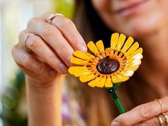 Ein Projekt für echte Blumenliebhaber