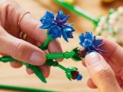 Verschiedene Arrangements entdecken
