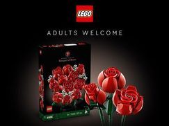 Set aus der LEGO® Botanik Kollektion