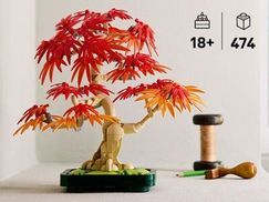 Ein charmantes Geschenk für Pflanzenliebhaber
