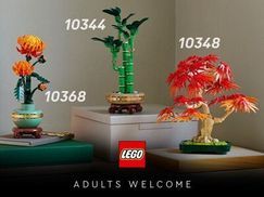 Die LEGO® Botanicals Kollektion entdecken