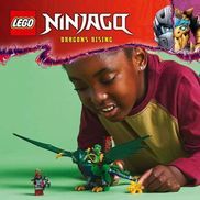 LEGO® NINJAGO® Drachen-Spielset