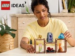 Die Schönheit der Natur präsentieren