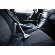 Experte für Tierhaare