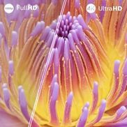 Es gibt Fernseher. Und es gibt Ambilight TV
