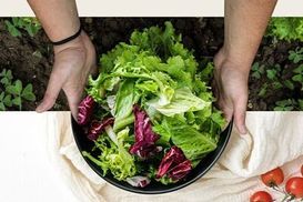 Hält Obst und Gemüse länger frisch
