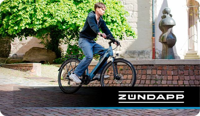 Zündapp Z810 Trekking E Bike