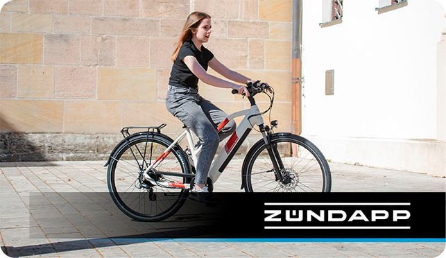 Zündapp Z810 Trekking E Bike