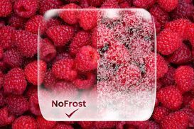 NoFrost