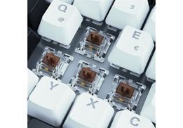 Vorinstallierte Schalter Gateron Brown