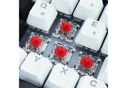 Vorinstallierte Schalter Gateron Red