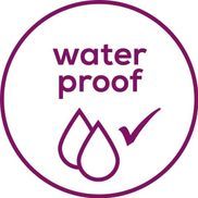 Wasserfest