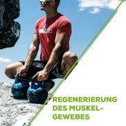 Regeneration des Muskelgewebes
