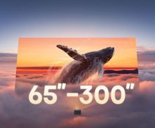 65