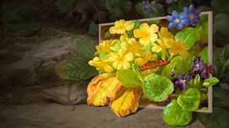 4K Quantum Dot Colour