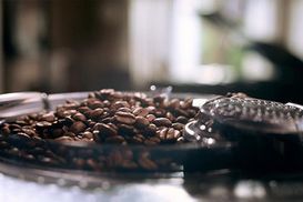 BeanMaestro