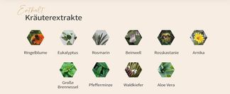 Welche Kräuterextrakte sind enthalten?
