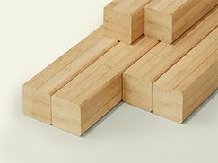 Robust und belastbar