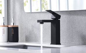 Pioneer Finish Technology 72H Säure-Salzsprühtest bestanden