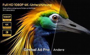 4K Decodierung & Native 1080P Full HD Beamer 