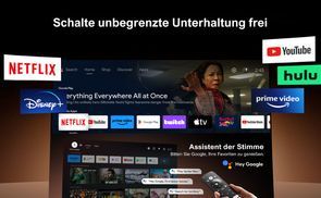 Offizielle Android TV 11.0 Autorisierung