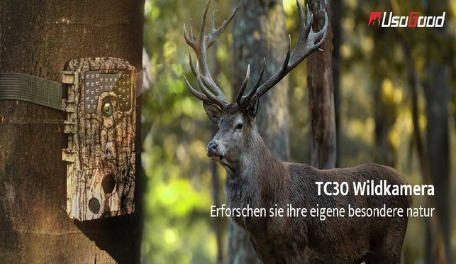 Hochauflösende 36MP Fotos und 4K Ultra HD Video