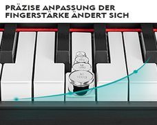 Halbgewichtete Tasten