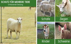 Mehrzweckanwendung