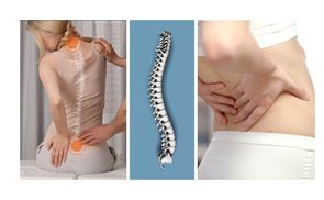 Ergonomische Anpassung & Rückenschonung