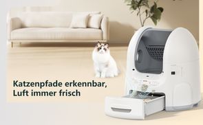 Katzenpfade erkennbar, Luft immer frisch
