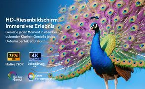 12000 Lumen und unterstützt 4K/1080P