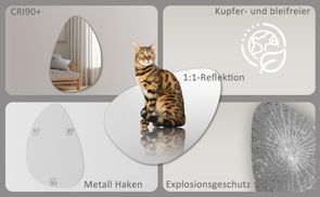 WDWRITTI Professionalität