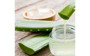 Bezug mit Aloe Vera
