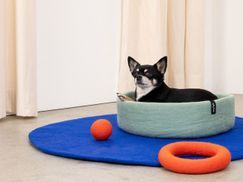 Natürliches Hundespielzeug aus Filz