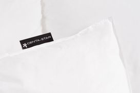 Die patentierte Premium Biese von Centa Star