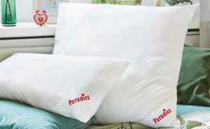 Mittlere Stützkraft 