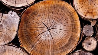 Entdecken Sie die Schönheit von Holz im Schlafbereich