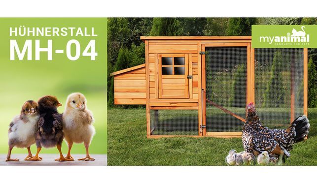 MyAnimal Hühnerstall MH-04 mit Eiablage