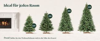 Ideal für jeden Raum