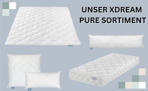 XDREAM Pure Меню