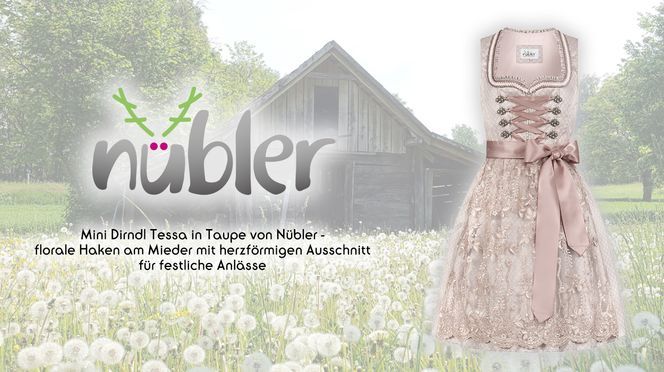 Mini Dirndl Tessa in Taupe für festliche Anlässe: