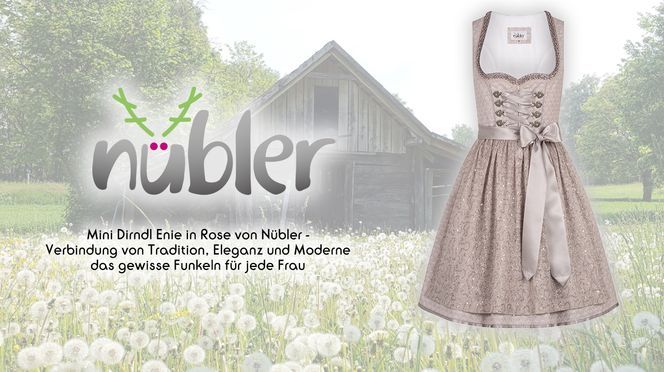Mini Dirndl Enie in Rose das gewisse Funkeln für jede Frau