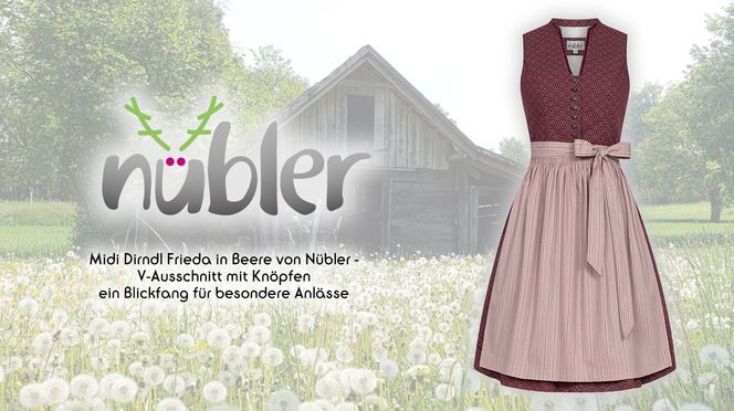 Midi Dirndl Frieda in Beere ein Blickfang für besondere Anlässe