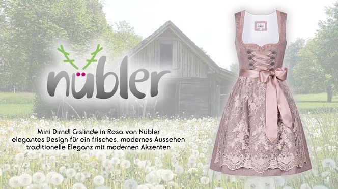 Mini Dirndl Gislinde in Rosa von Nübler – traditionelle Eleganz mit modernen Akzenten