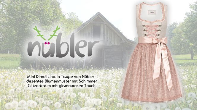 Mini Dirndl Lina in Taupe von Nübler – Glitzertraum mit glamourösen Touch