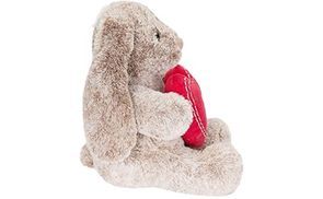 Romantisches Geschenk zum Kuscheln